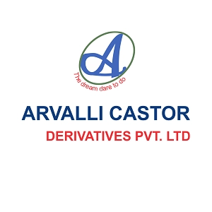 Meet Our Client Arvalli Castrol Derivatives Pvt Ltd