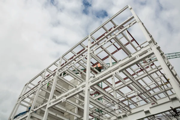 Industrial multi-span building